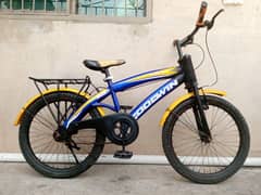 20 INCH IMPORTED CYCLE FOR 3 TO 11 YEAR KIDS 03165615065