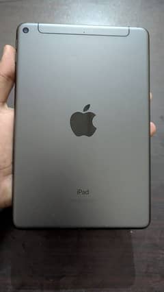 Apple Ipad Mini 5