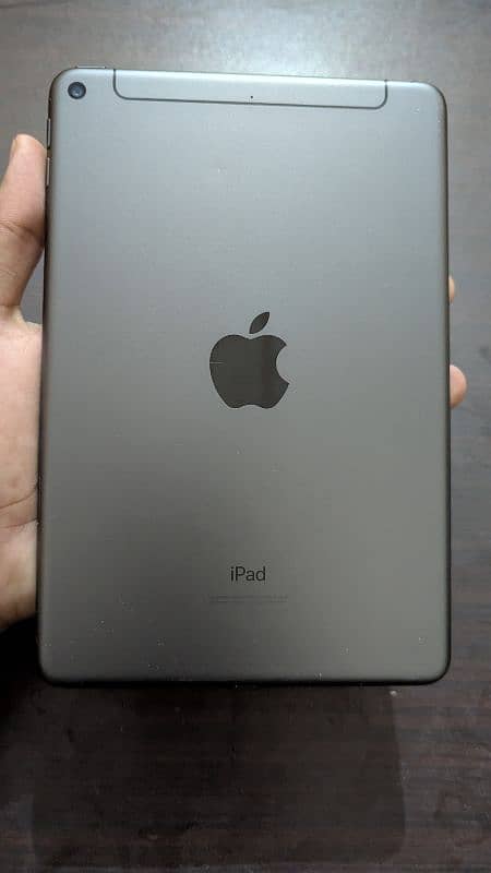 Apple Ipad Mini 5 0