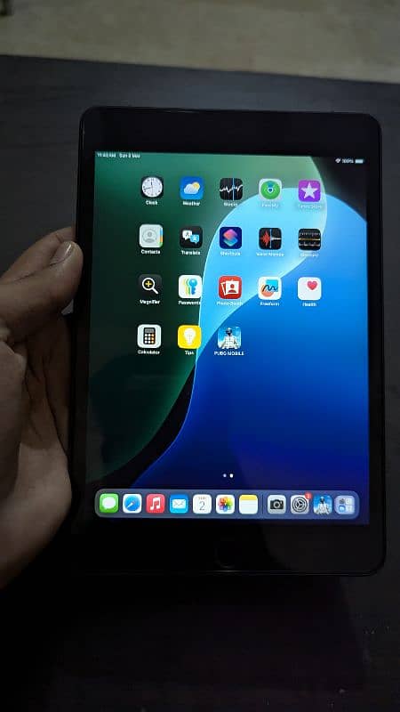 Apple Ipad Mini 5 1