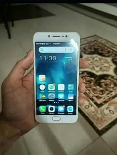 vivo y67 4gb 64gb set with charger