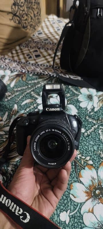 Canon D1200 4