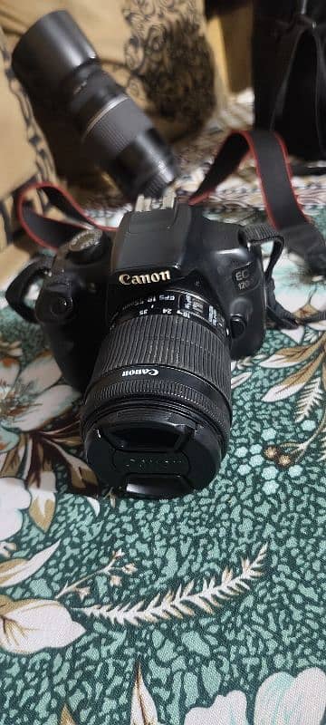 Canon D1200 9