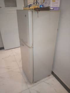 pel company fridge medium size used