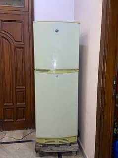 pel fridge medium size