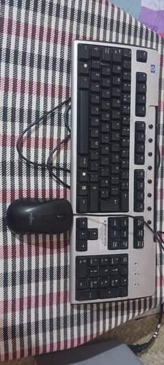 HP Wired Keyboard + Fujitsu Wired Mouse