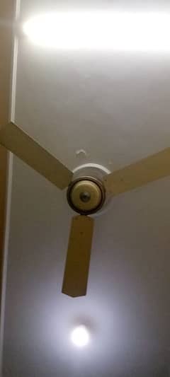 Copper wired full size ceiling fans for sale. . .