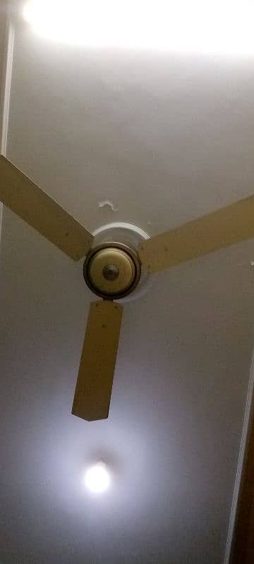 Copper wired full size ceiling fans for sale. . . 1