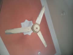 Fan For sell