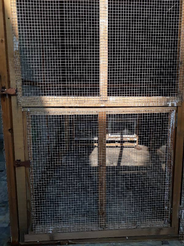 BIRDS CAGE 0
