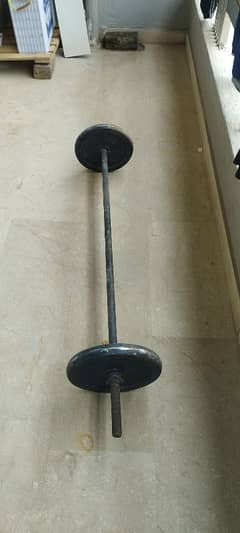 f6t rod , 20kg weights