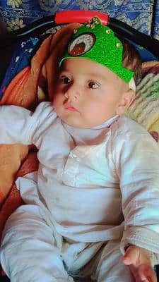 Zulfiqar ali