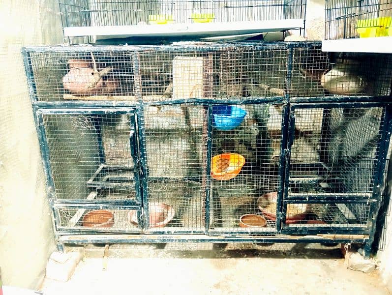 iron cage for sale 0