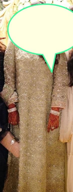Designer Bridal Dresses/Fancy/Event/Boutique 4