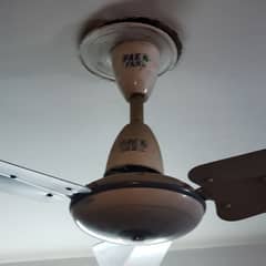 Pak Ceiling fan