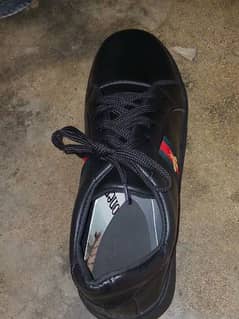 urgent sale size 43