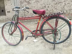 Sohrab Bicycle 20