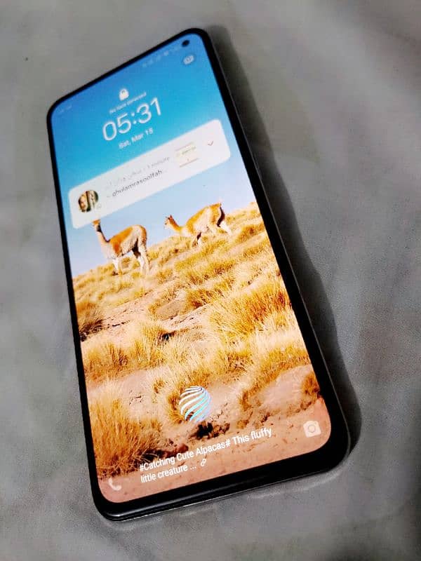 vivo v17 8 gb 256 gb 10