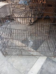 cages for sale