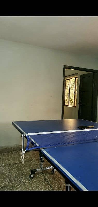 table tennis table 0