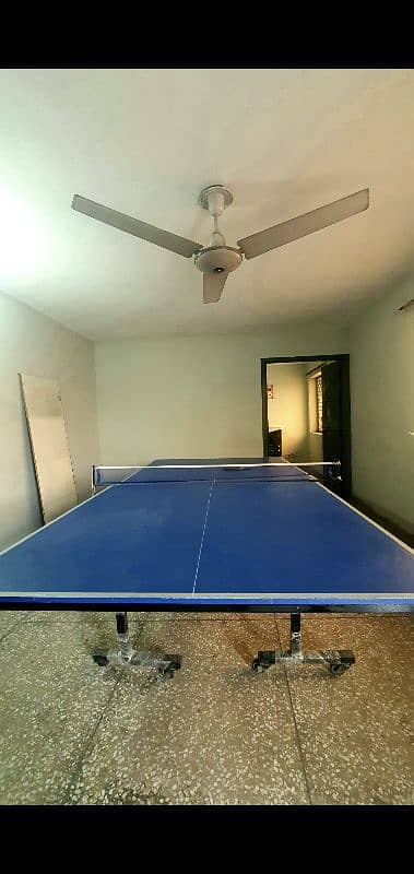 table tennis table 1