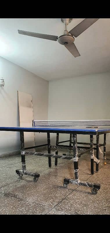 table tennis table 2