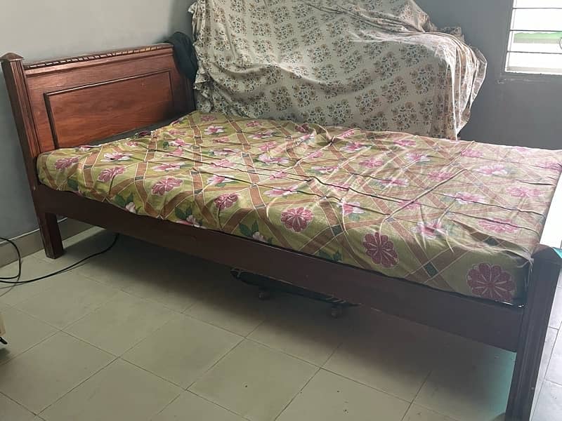 Single Bed-Polished 1