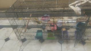 cage for sale 0347 5381068