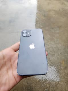 iphone 12 due PTA approved