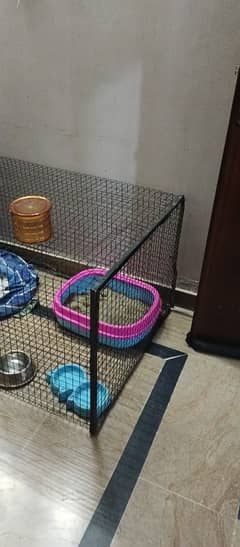 Cat cage pinjra pot