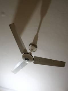 Royal Ceiling Fan 50W for sale