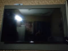 tcl led 55 inch