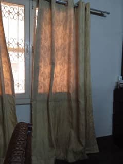 2 golden curtains (Length 7 ft and width (5.5 foot)