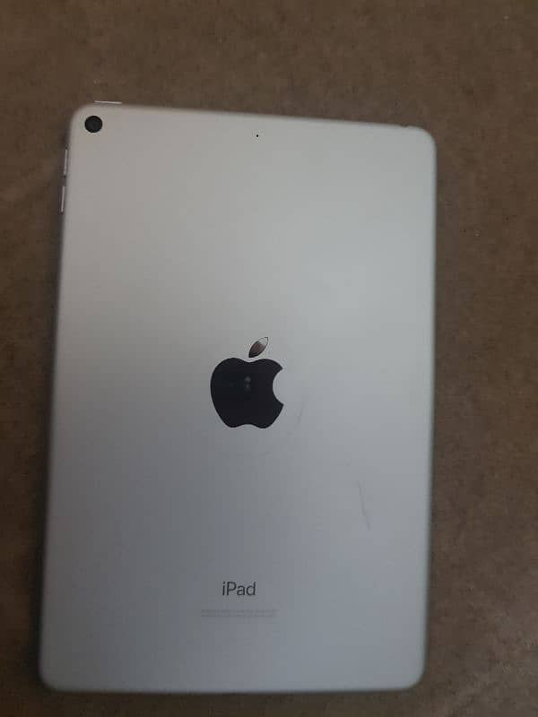 IPad mini 5 0