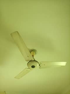 Ceiling Fan for sale