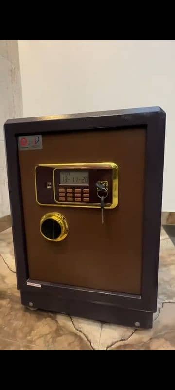 Electric safe 1