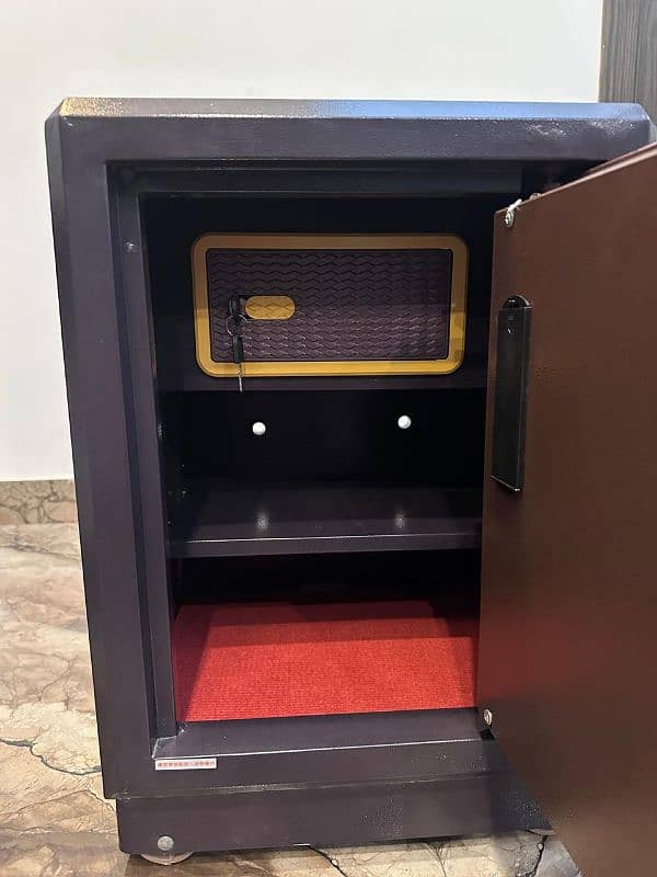 Electric safe 2