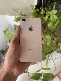 Iphone 8  64gb Non pta Bypass