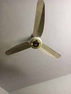 Fancy Ceiling fan like new