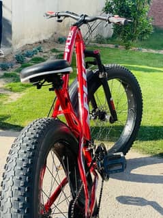 Fat tyre bicycle