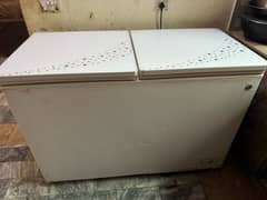 Double door Pel freezer for sale