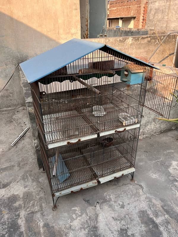 Pinjra Cage 2