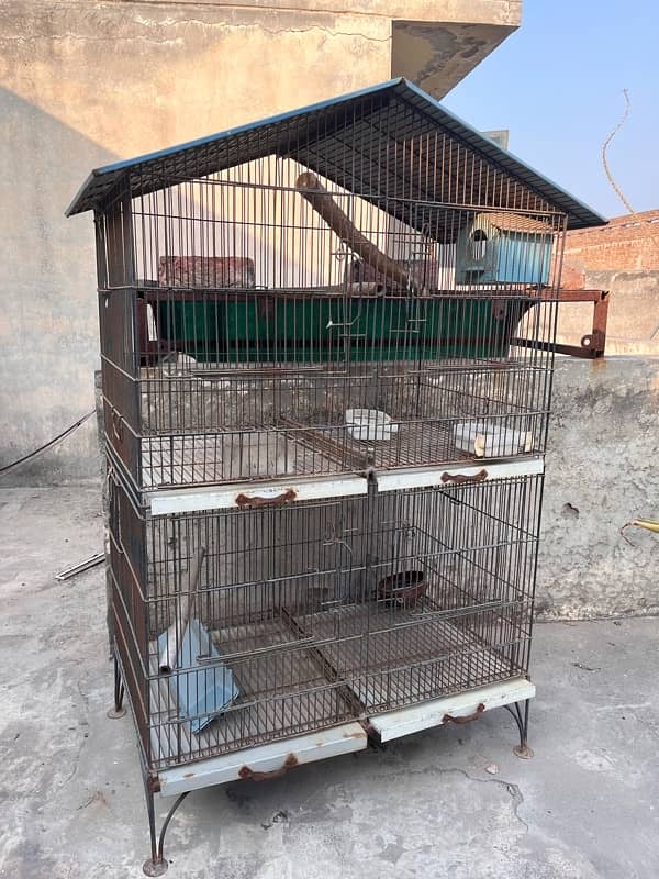 Pinjra Cage 3