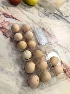 Original Aseel Heera Eggs