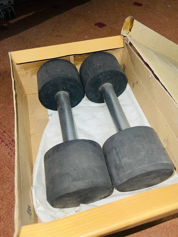 4 Kg Dumbells 0