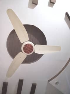 Cealing fan in very good condition.