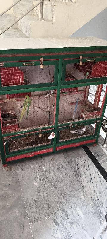 Parrot cage For Slae 3