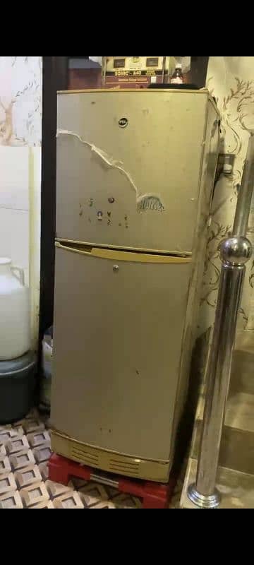 Pell Refrigerater 1