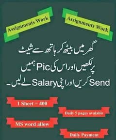 Without investment assignment typing work available