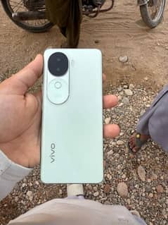 Vivo v40e zero metre condition 10 by 10